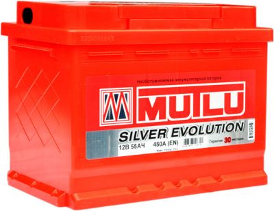 Multi Silver Evolution 55